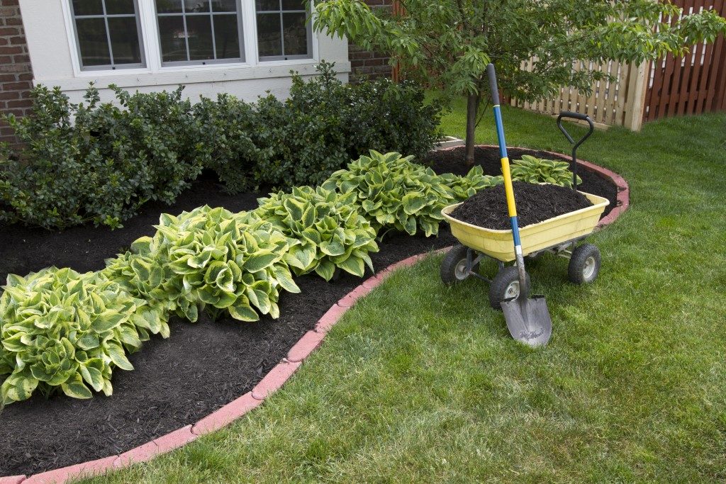 Mulch applied to the soil