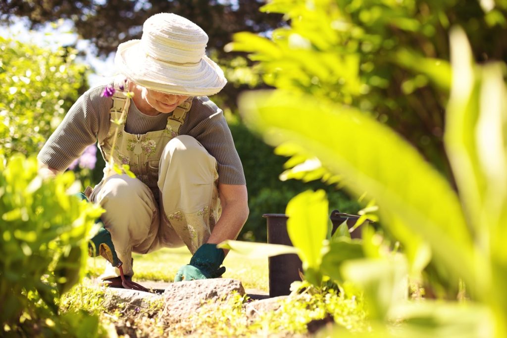 woman trimming plants