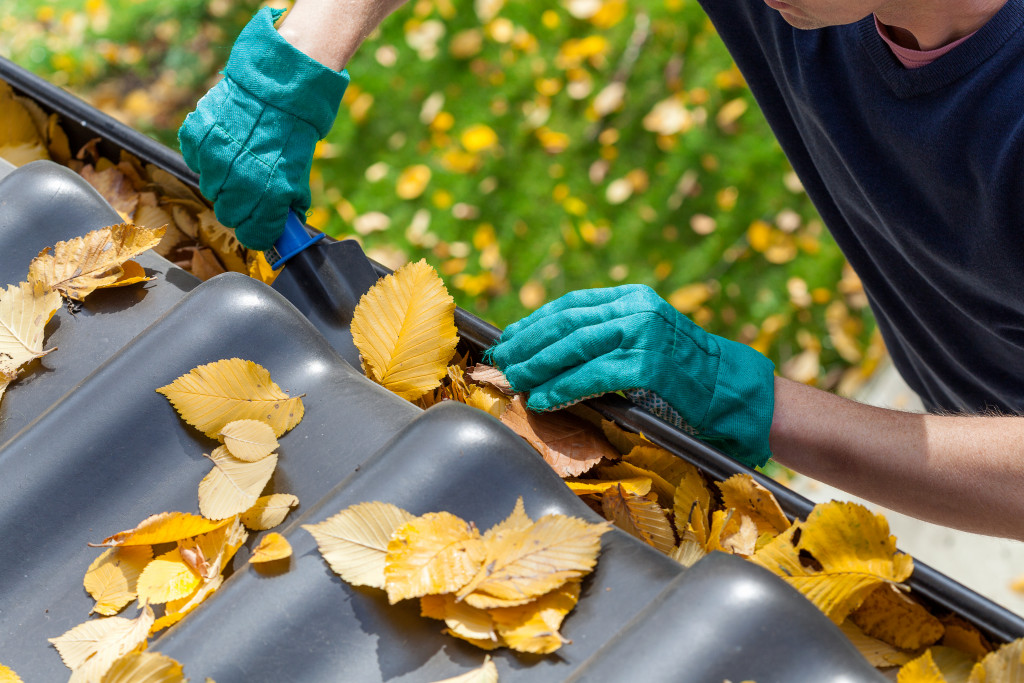 cleaning the gutter from autumn leaves