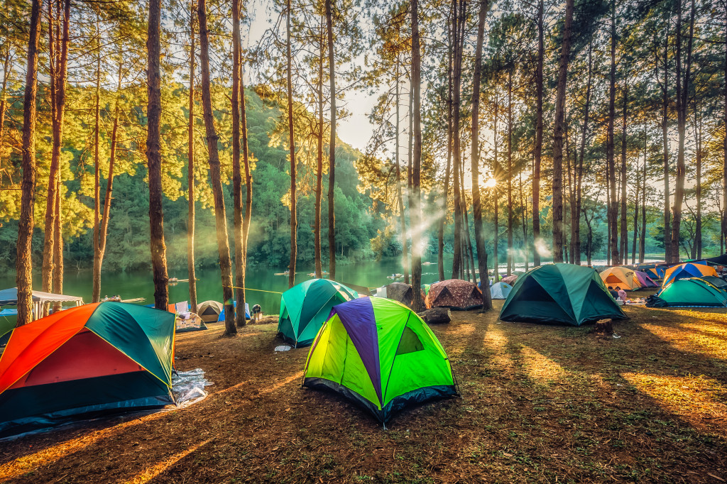 camping tents in the woods