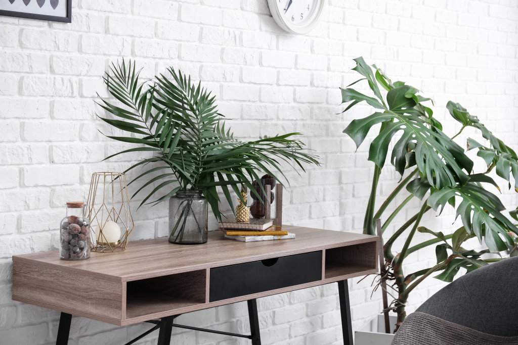 Tropical plants in a minimalist room