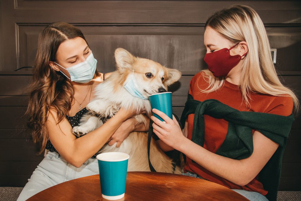 a dog playing with two women at a cafe