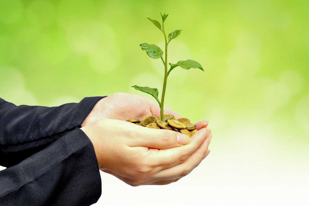 hand with a plant