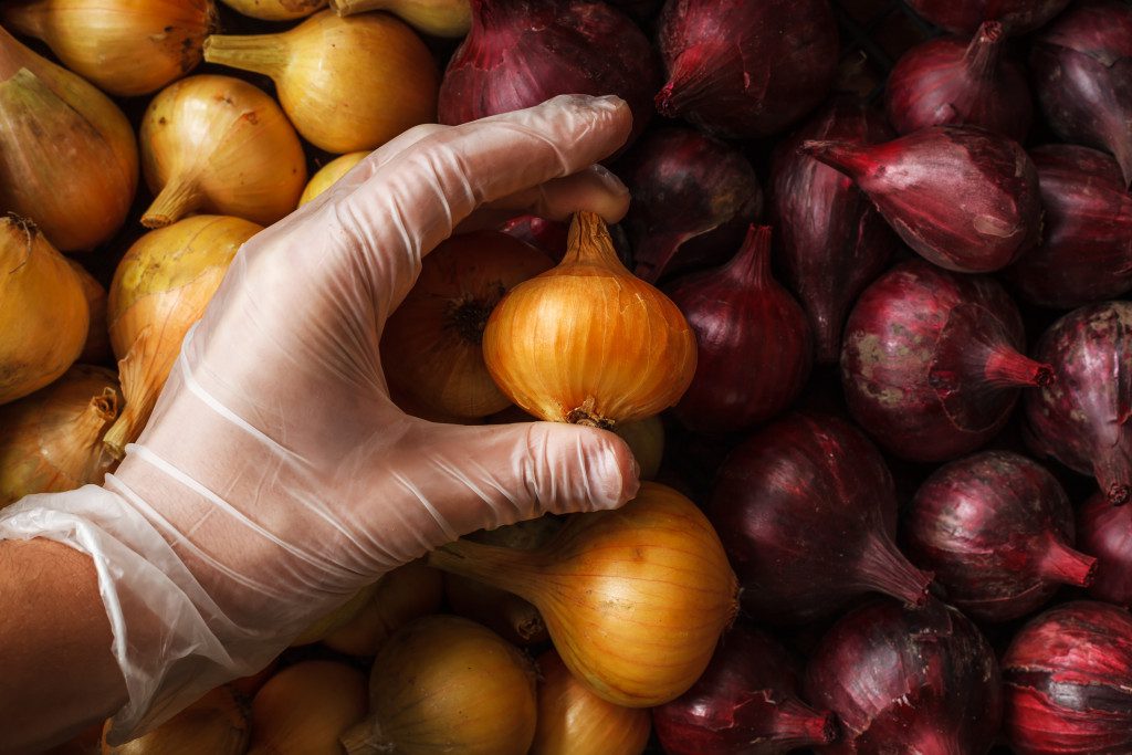 A gloved hand checking onions for defects