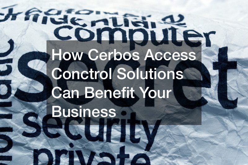 How Cerbos Access Conctrol Solutions Can Benefit Your Business